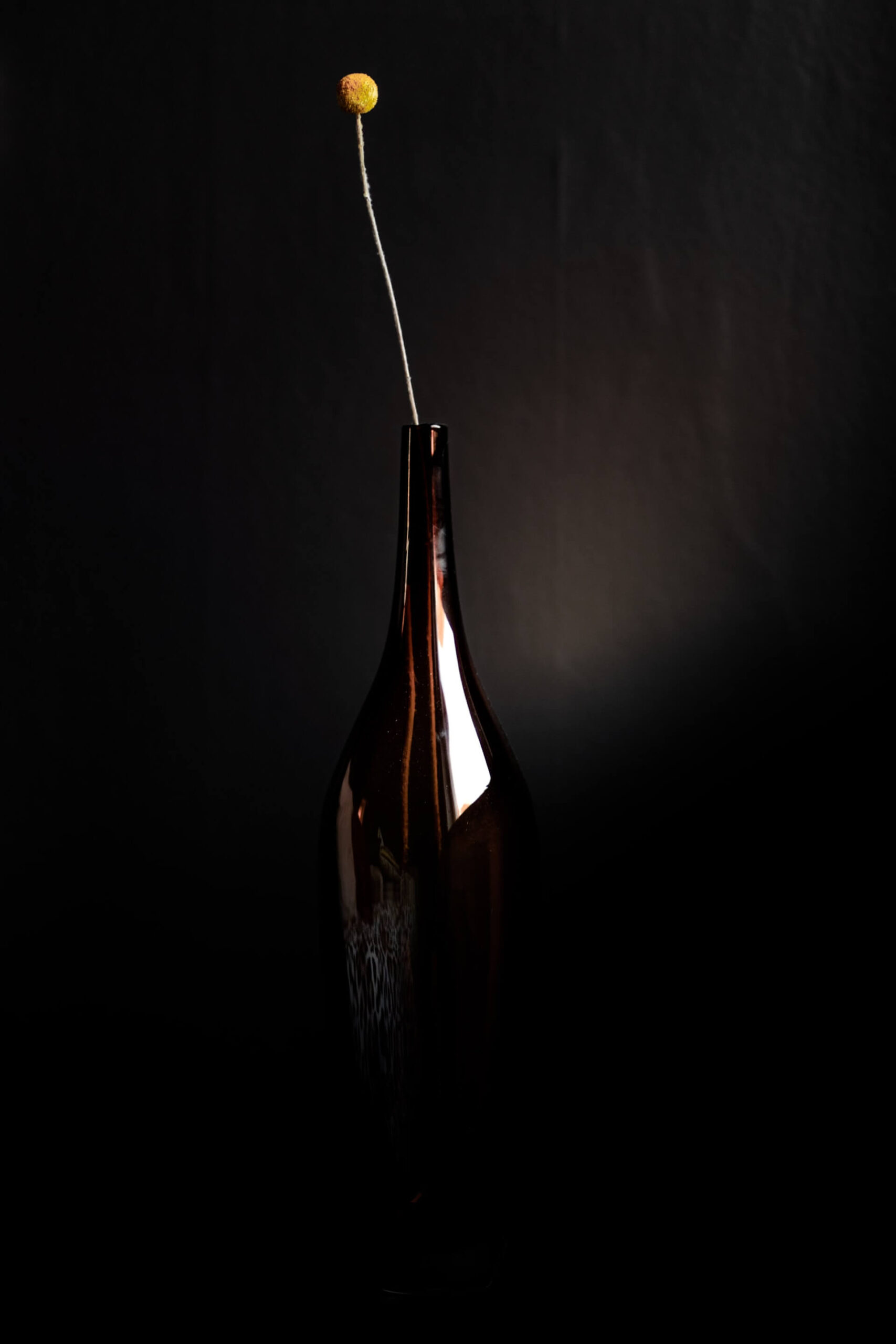 Fotograf Kalmar studio.